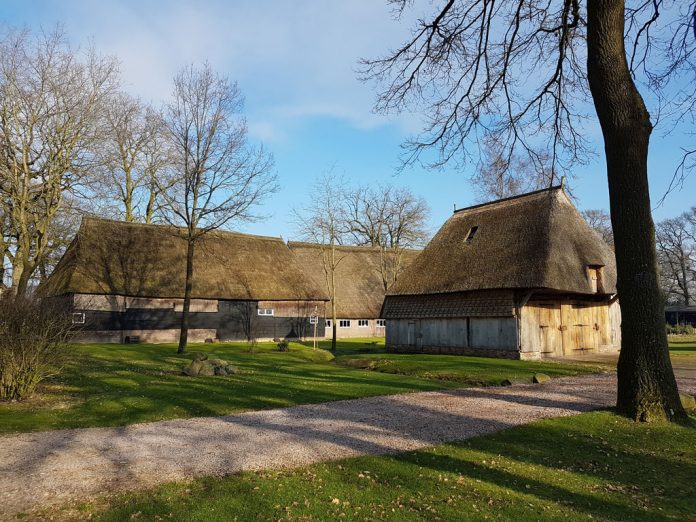 Saksische boerderijen in brinkdorp Gees