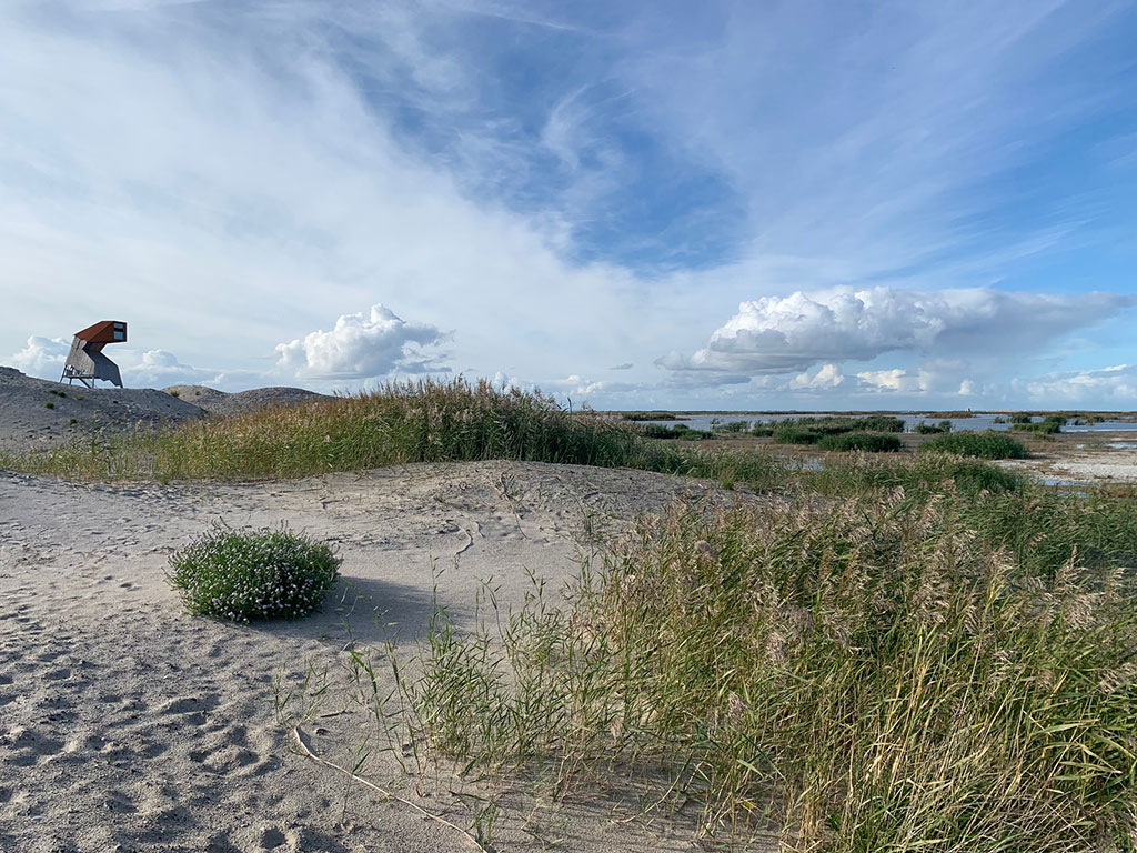 Landal Marker Wadden Uitzicht