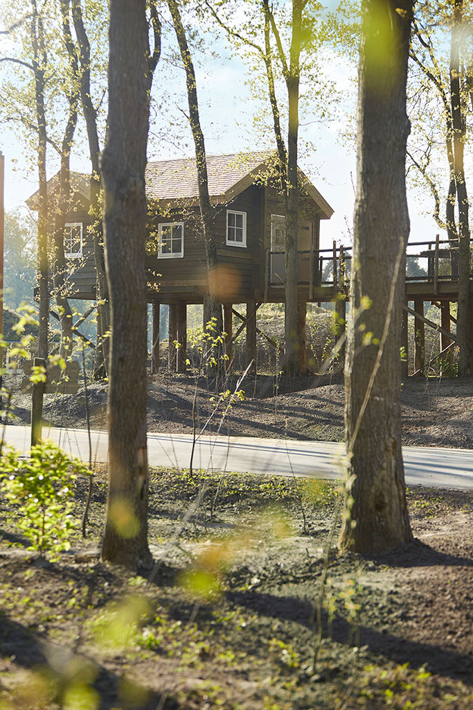 Boomhut Loonsche Zand Efteling Boomzicht